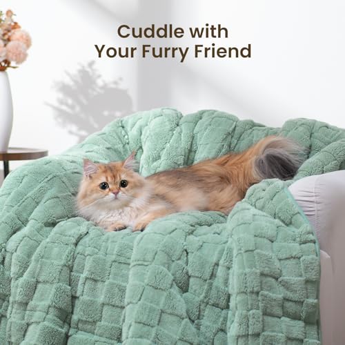 Image of Drewin 15lbs Weighted Blanket Queen Size, Classy Soft Jacquard Checkered Sherpa Weighted Blankets for Sleep Natural and Calming, Cozy Fluffy Heavy Blanket for Sofa Bed, 60 x 80 inches, Sage Green