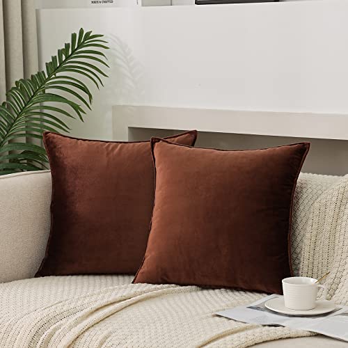 JIAHANNHA Velvet Brown Throw Pillow Covers Pack of 2 Spring Decorative Soft for Couch Sofa Bed Livingroom Office 20×20 Inches by JIAHANNHA - Used condition - US$11.47