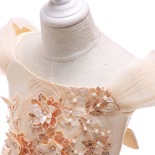 Flower Girl Off Shoulder Embroidery Lace Wedding Formal Dress for Kids Princess Pageant Birthday Party Dance Maxi Gown3