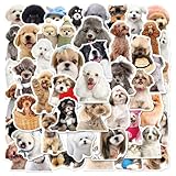 おもしろ犬ステッカー 50枚、ウォーターボトル、ノートパソコン、スケートボード、ヘルメット、ギターに最適なカラフルな防水ステッカー (犬)