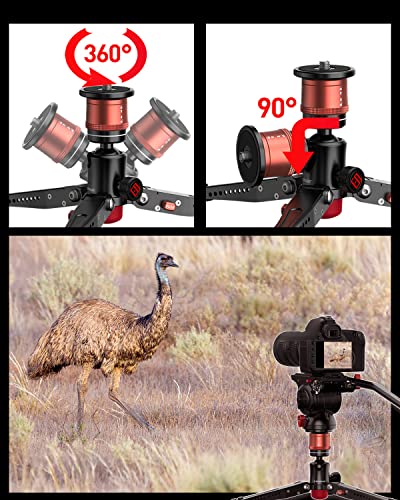 Ifootage Cobra 3 Base,Low Profile Minipod,Desktop Tripod,Vertical Payload 6Kg,Height 5.7”~10.24”(14.5~26Cm),Top Plate For Monitor,Phone Holder Clip,Mini Ball Head,K5 Fuid Headled Flash #TOP5