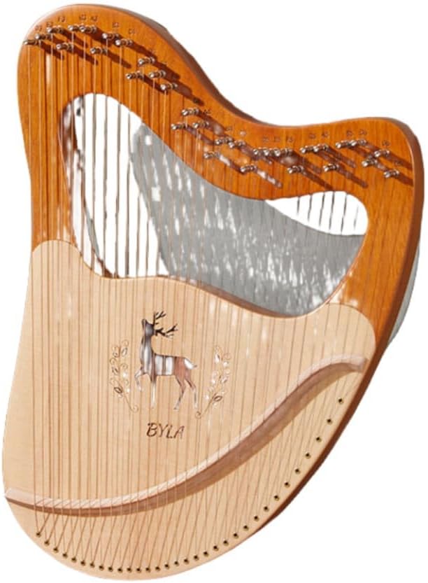 中古】S.yairi YE-5M/N エレアコ エスヤイリ 2025年最新】Yahoo