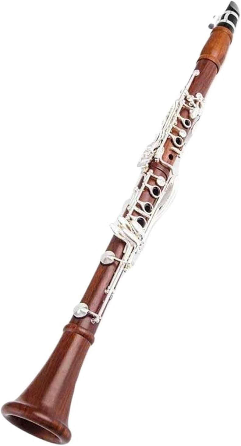 Professional Clarinet Rosewood Solid Silver Plated Keys Bb 17 Keys