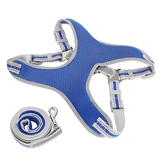 med reflekterande material, hundsele, förhindra att husdjur spricker ut, dra repkista(blue, L)