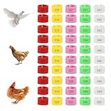 Geflügel Fußringe 100 Stück Hähnchen Beinringe Mehrfarbige Hähnchen Identifikation Beinbänder Nummerierter Clip an Geflügel Beinringen für Gamefowl Truthahn Ente Gans, 5 Farben
