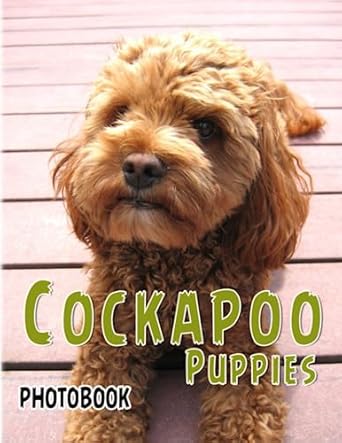 Amazon.com: Cockapoo Puppies Photobook: Cute Pictures Book For Pets ...