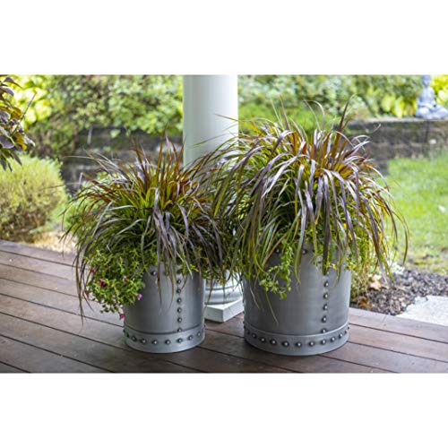 Good Directions P1215Z Unique Large Riveted Zinc Set Of 2 For Outdoor Or Indoor Use, Garden, Deck, And Patio Planter #TOP3