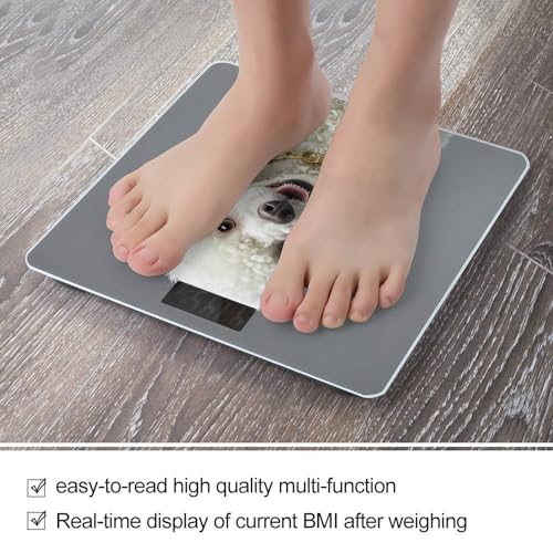 Báscula digital francesa para baño de vidrio templado miniatura 4