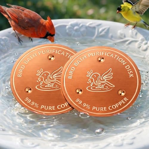 Factee 2PCS Bird Bath Copper Disk – 0.6mm Thick 99.9% Pure Copper Cleaning Disk, Helps Maintain Cleaner-Looking Water, All-Season Use for Outdoor Bird Baths, Bowls, Bird Bath Solar & Fountains