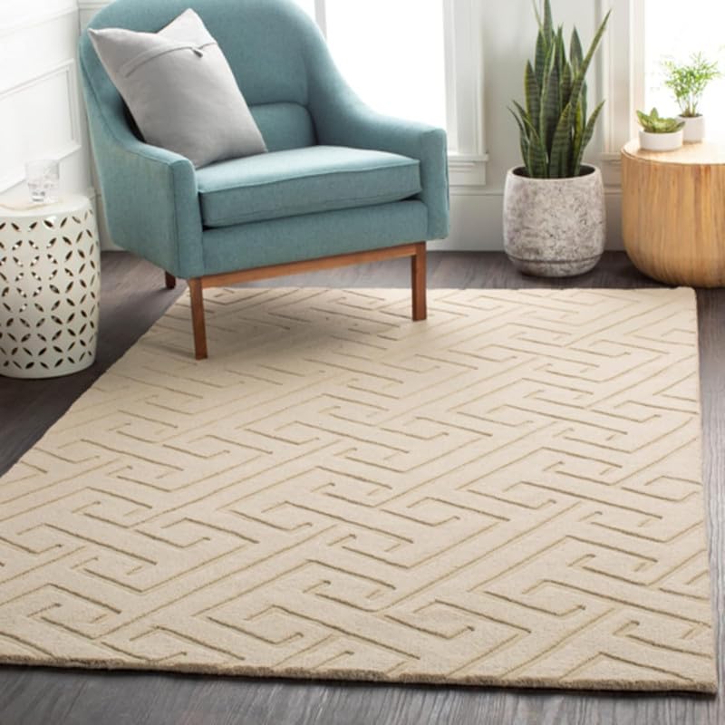 Image of Hand Tufted Modern Design Exported Collection High Low Pattern Wool Carpet for Living Room, Bedroom & Hall (Beige C, 4 x 6 Feet)