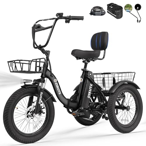ESKUTE E Trike Electric Bike, Peak 1200W Brushless...