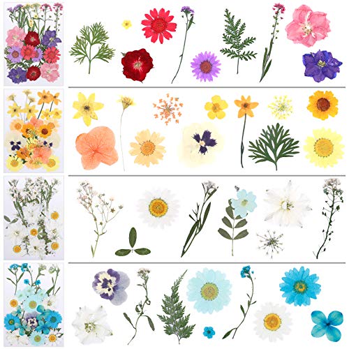 image for LIMGLIM 104 Pcs Dried Pressed Flowers Leaves for Resin Candle Soap Jew