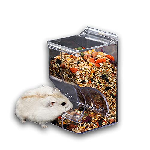 Cage à Oiseaux Avec Mangeoire Pour Perroquets, Bol... – Grandado