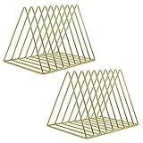 EASEPRES 9 Slot Magazine Rack Book Record Holder, Desktop Iron Storage Rack Bookshelf Multifunction Triangle File Organizer Sorter for Decor Home Office, Golden Pack of 2