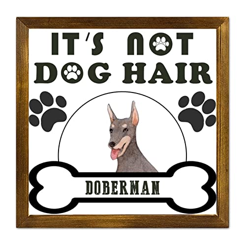 Plaque en bois It's Not Dog Hair cadre cadre antique salon 30cm