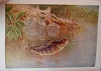 AMERICAN FISHES. A Popular Treatise upon the Game and Food Fishes of North America ... B0046110HQ Book Cover