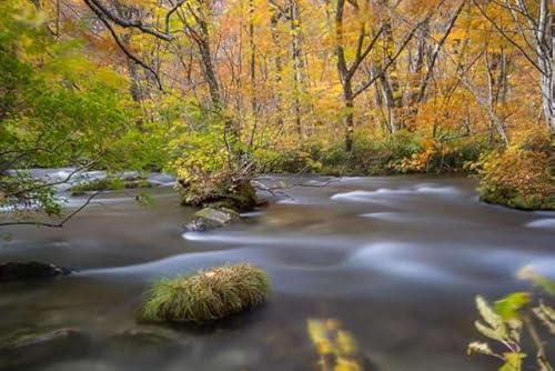 y{i|XgJ[hzX gt  Wphoto by daikegorotHgJ[hyY