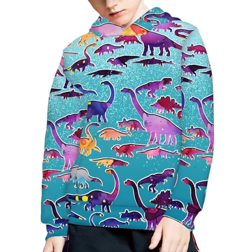 Boys Girls Hoodies 3D Printed Dinosaurs Hooded Sweatshirts