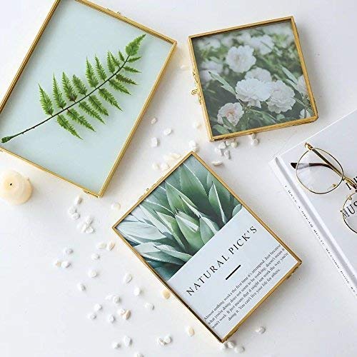 Rising Star Brass Frame, Double 5X7 Folding Picture Frames, Gold Metal Pressed Glass Photo Frame #TOP1
