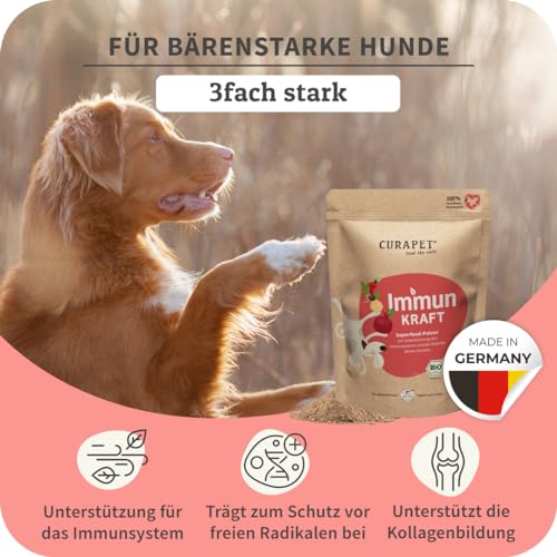 Bio Vitaminpulver für Hunde – CURAPET – zur ernährungsphysiologischen Unterstützung Einer ausgewogenen Fütterung, mit natürlichem Vitamin C, Antioxidantien & Superfoods – 200 g (bis zu 80 Portionen)
