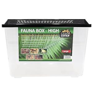 Terra Exotica Fauna Box High Terrarium