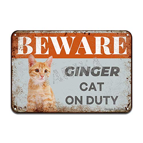 Ginger Cat Dream Meaning Interpretations and Symbolism