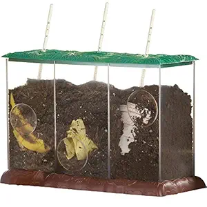 Educational Insights Now You See It, Now You Don't-See-Through Compost Container