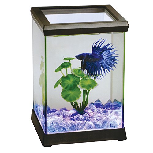 Ocean Free AT619A Kit Betta Space Led, Negro