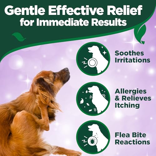 Vet's Best Allergieentlastung für Hunde 250ml