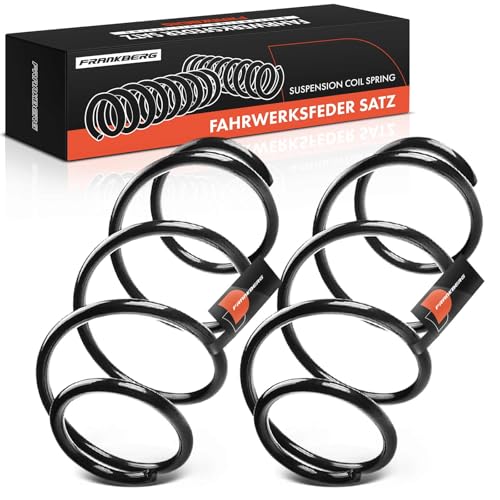 Frankberg 2x Federn Fahrwerksfeder Vorderachse Kompatibel mit 500 312 1.2L Schrägheck 2007-2021 Replace# 50709720