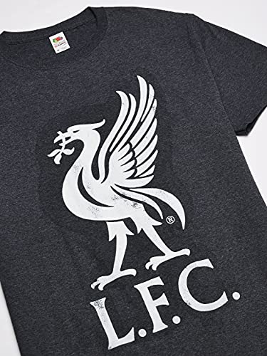 Mejores review On-line Camiseta coutinho Liverpool tabla con los diez mejores. 3 Imagen adicional