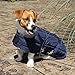 Dura-Tech Channel Quilted Dog Coat | Match Your Dog with Your Horse | Midweight Warmth | 420D Breathable Nylon | Winter Protection | Color Navy | Size Small