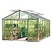 Produktbild GFP Gewächshaus Asteria 25 Premium 311x534 cm mit integriertem Fundament 16 mm Doppelstegplatten, Farbe Aluminium Natur - Made in Austria