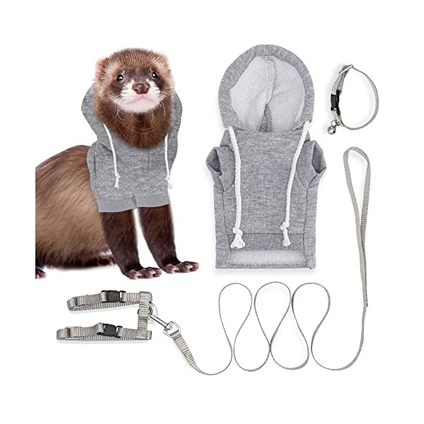 Ferret sweater, leash and collar set - ferret costume - ferret accessories - small ferret clothes - clothes for ferrets - ferret stuff - hoodies for ferrets with leash, harness, and collar