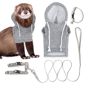 Ferret Sweater, Leash and Collar Set – Ferret Costume – Ferret Accessories – Small Ferret Clothes – Clothes for Ferrets – Ferret Stuff – Hoodies for Ferrets with Leash, Harness, and Collar