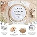 Canlierr 8 Pcs Pregnancy Announcement Set Pregnancy Reveal Ideas Include Felt Letter Round Board Kit Baby Bodysuit Booties Wood Blocks Wooden Signs for Coming Soon Baby Announcement(White)