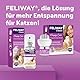 FELIWAY Classic Spray, 60ml - Für zusätzliche Enstpannung, Zuhause und auf Reisen, von Tierärzten empfohlen, klinisch getestet