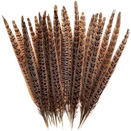 AWAYTR 20pcs Natural Pheasant Feathers - Pheasant Tail 8-11inch(21-28cm) for DIY Decoration (Female Pheasant Tail)