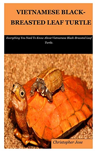 VIETNAMESE BLACK-BREASTED LEAF TURTLE: Everything You Need To Know About Vietnamese Black-Breasted Leaf Turtle.