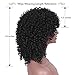 AISI BEAUTY Afro Kinky Curly Wigs for Black Women Short Curly Afro Wigs for Cosplay Halloween Shoulder Length Full Wigs Synthetic Heat Resistant Wigs with Bangs (Color:1B#)