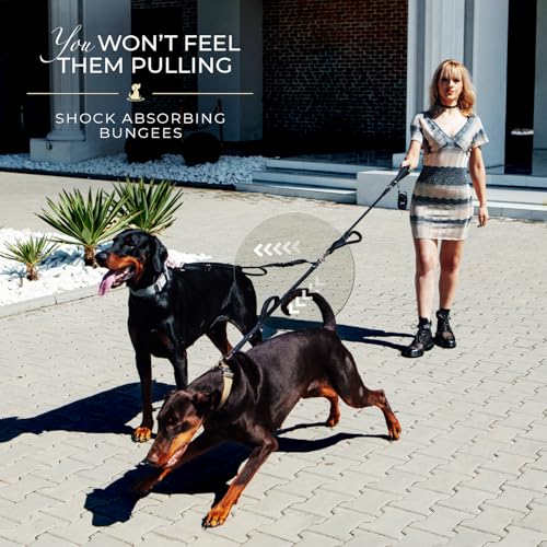 Premium Double Leash for Two Dogs – Shock Absorbing Anti Pull Double Lead for Medium & Large Breeds with Adjustable Dual Leash Attachment for 2 Dogs by SparklyPets - Image 3