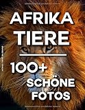 tiere afrikas tiptoi  Afrika Tiere Bildband: 100 Wunderschöne Fotos In Diesem Fantastischen Fotobuch (Afrika Tiere Bildband - Afrika Tiere Bilder -Afrika Tiere Fotobuch, Band 1)