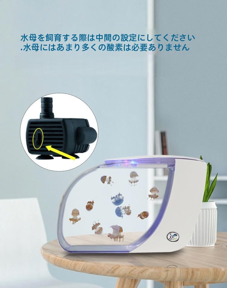 Amazon | 【Amecke】クラゲ水槽 卓上型 生態セット ～270°超清視界