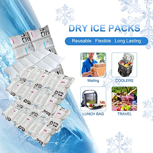 Image of RAINBOW Dry Ice Packs for Shipping, Dry Ice Packs for Coolers, 100 Sheets