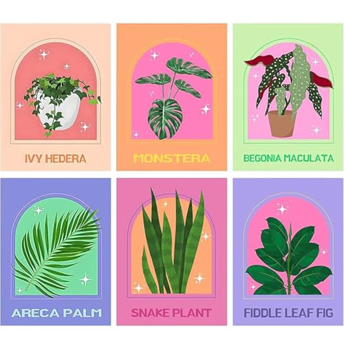 LOITTAINUE Malen Nach Zahlen Erwachsene 6 Stück, Malen Nach Zahlen Set Blume mit Knitterfreie Leinwand, Pinsels Und Acrylfarbe für und Anfänger, DIY Handgemalt Ölgemälde Kit Als Geschenk 20x30cm