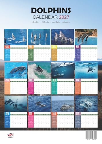 Calendario de Delfines 2027 A3 para evitar perder citas 2