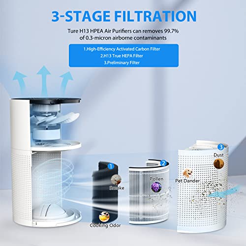 Purificatore d'Aria Smart con Filtro HEPA, CADR