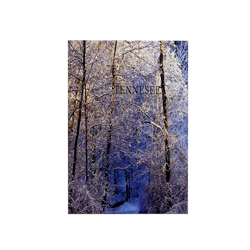3dRose 15x22 Hand Towel - Snow in Forest in Nashville Tennesee America The Beautiful