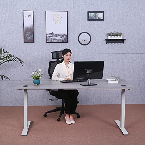 Image of ApexDesk Elite Pro Series 71 inch x 33 inch Electric Height Adjustable Stand up Desk, Sit Stand Home Office Desk, Computer Desk - Curved Grey Top /White Frame