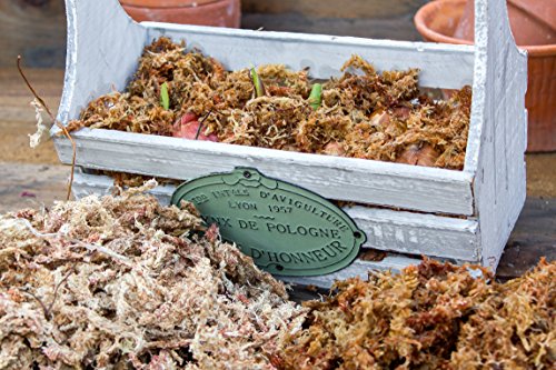 Supermoss (22330) Orchid Sphagnum Moss Dried, Natural, 2.1Lbs Small Bale #TOP5